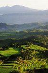 RUTENG SUNRISE 6