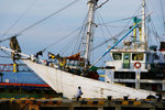 LABUAN BAJO 13