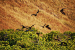 DSC06754