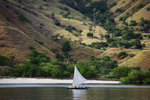 IMGP3496