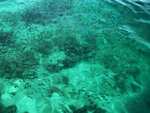 IMG_0194