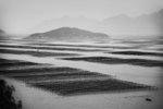 IMG_1879