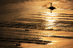 -IMG_1678