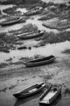 -IMG_2562