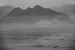 IMG_2571