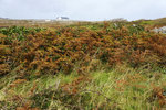 DSC01917