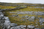 DSC01941