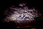 IMGP0818
