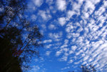 IMGP0821