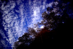 IMGP0828