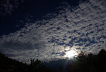 IMGP0831