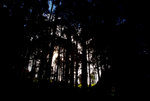 IMGP0913