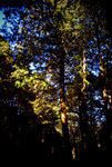 IMGP0917