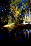 IMGP0921