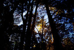 IMGP0926
