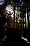 IMGP0927