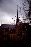 IMGP5384