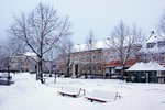 DSC04959