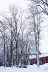 DSC04965