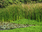 P1080045