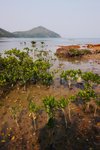 P1280317