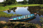 1IMG_1307