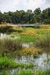 IMG_1186