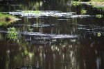 IMG_1286