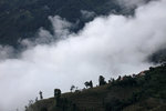 IMG_0808