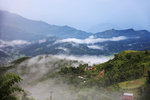 IMG_1993