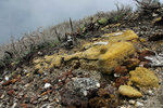 IJEN CRATER 11