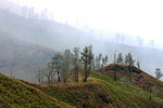 IJEN CRATER 13