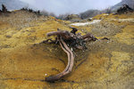 IJEN CRATER 15