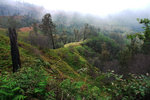 IJEN CRATER 5