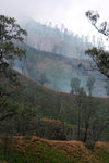 IJEN CRATER 6