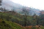 IJEN CRATER 7