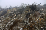 IJEN CRATER 9