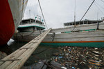 SUNDA KELAPA HARBOUR 2