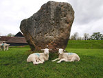 AVEBURY 1