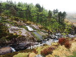 P5213592