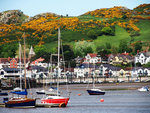 P5213726
