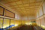 NGY_5396