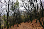 HLK_0591