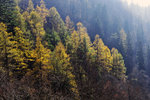 ROM_8783