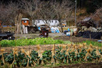 DSC00073