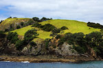 BAY OF ISLANDS 11