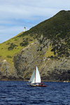 BAY OF ISLANDS 4