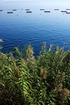 DSC00090