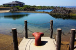 DSC00184