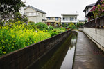 DSC00710